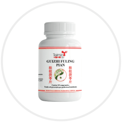 Gui Zhi Fu Ling Pian